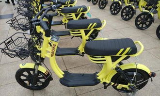 共享電動(dòng)車 百科