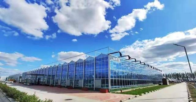 濰坊國家現代農業產業園勇當創新提升&ldquo;濰坊模式&rdquo;排頭兵