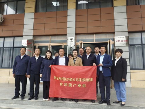 國家科技特派團食用菌體系專家在大坪鎮開展科技服務