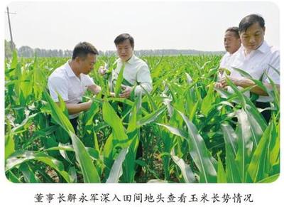 翔龍農(nóng)業(yè)