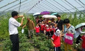 打造一座盈利的農(nóng)莊,選址要點(diǎn)可以從這幾方面來(lái)考慮