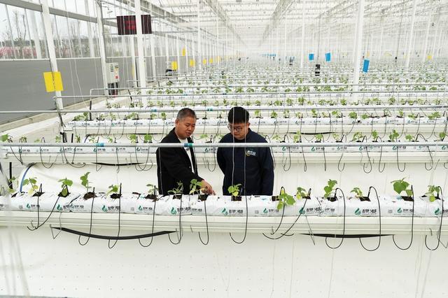 呂欣:&ldquo;第四產(chǎn)業(yè)&rdquo;興起,我們找到了新科技革命的&ldquo;爆發(fā)點(diǎn)&rdquo;?