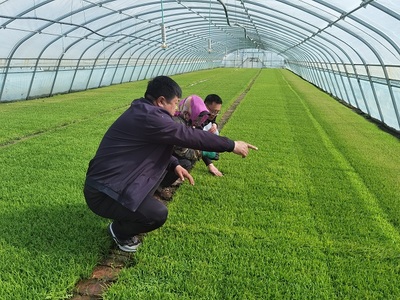 肇源農(nóng)場ldquo;保姆式&rdquo;服務(wù)助力春耕備耕