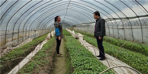 開(kāi)展包村聯(lián)戶(hù) 助力農(nóng)民增收--績(jī)溪縣開(kāi)展春季農(nóng)業(yè)科技服務(wù)活動(dòng)