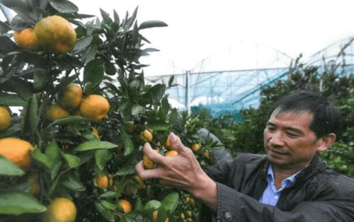 厲害了 建德2人 3家工作室上榜