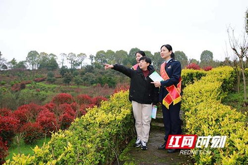 湖南衡陽 稅收助力 繪就鄉村振興美麗畫卷