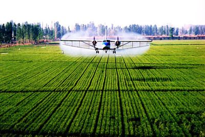 推動(dòng)農(nóng)業(yè)現(xiàn)代化,政府農(nóng)業(yè)創(chuàng)業(yè)項(xiàng)目的重要性