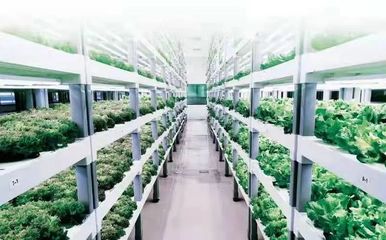 創(chuàng)新驅(qū)動!國家電投科技創(chuàng)新成果落地