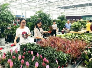 常熟市人民政府