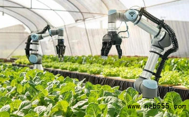 中國智慧農(nóng)業(yè):政策的寵兒,但還是處于初級階段,未來如何躍遷