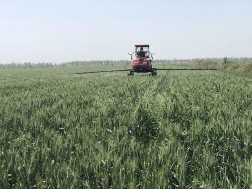 科技護航讓種田高效又安全