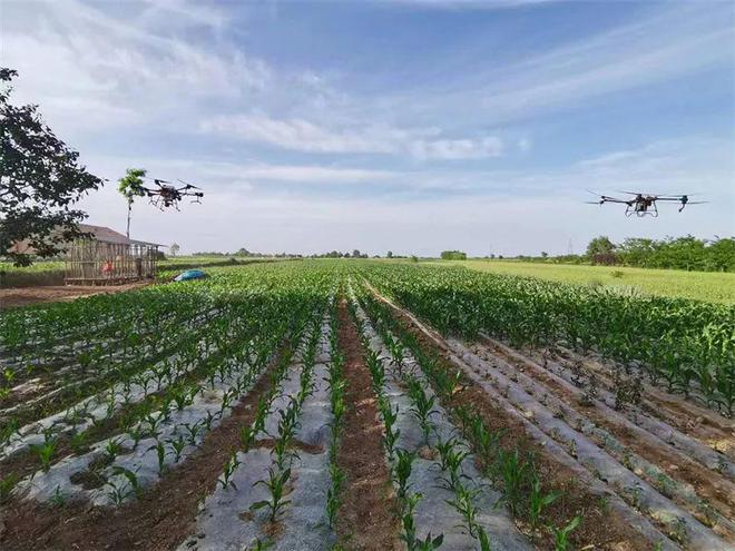 鄉村振興行動丨靈臺:發展農業生產社會化服務 培育新時代&ldquo;田管家&rdquo;
