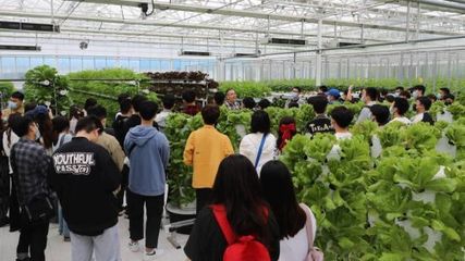 首都高校學生走進智慧農業實驗溫室體驗農業黑科技