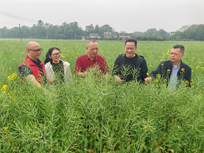 &ldquo;春華&rdquo;變&ldquo;秋實&rdquo;全州縣4.75萬畝稻油輪作實現&ldquo;一地三收&rdquo;
