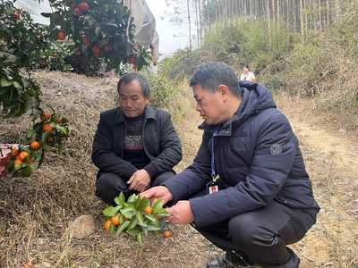 永福縣:迎春雨備春耕促春管