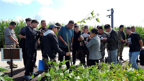 鶴山農(nóng)場 培訓(xùn)賦新能,農(nóng)技促提升