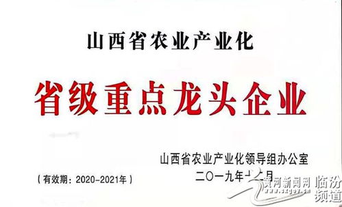 襄汾農特產 蓓鮮農業科技公司 主產杏鮑菇