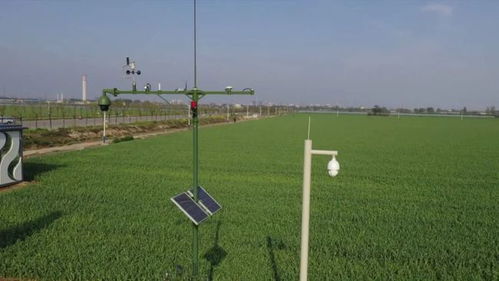 縣科技局 強化農業科技服務 為鄉村振興添翼加速