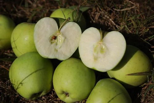 天冷了,周六這里會 很暖 ......